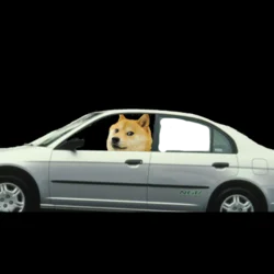A Gently Used 2001 Honda