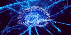 AB4AD (Antibodies for Alzheimer’s Disease)