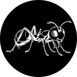 Antscoin