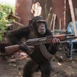 APE WITH GUN