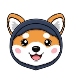 Asteroid Shiba