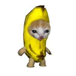 banana cat