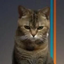 Beancat (BCAT) logo