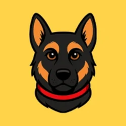 Belgian Malinois (BELG)