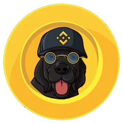 binancedog