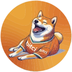 Bitci Bonk