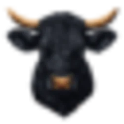 Black Agnus