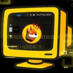 Bonk Computer Token