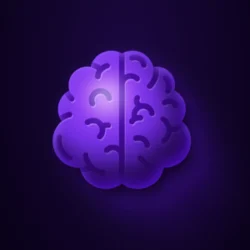 Brain