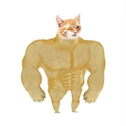 Buff Cat