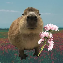 Capybara (CAPY)