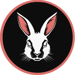 CashBunny