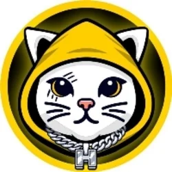 Cat in Hoodie