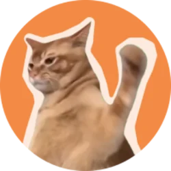 CatSlap (SLAP)
