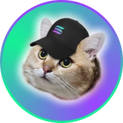 CatSolHat