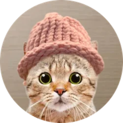 CatWifHat
