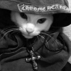 Chrome Cat