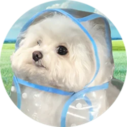 COAT DOG