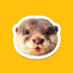 Degen the Otter (DEGEN)