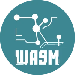ZKWASM (ZKWASM)