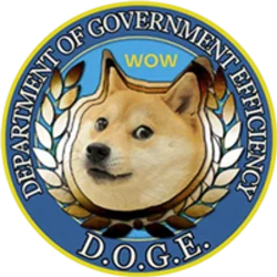 Department Of Government Efficiency (DOGE)