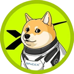 DOGE-1
