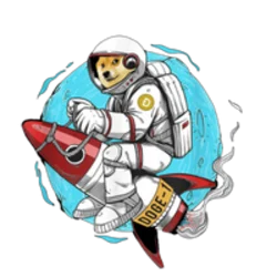 Doge-1 Mission to the moon