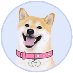 DogeGF (DOGEGF)
