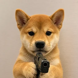 Dogwifgun