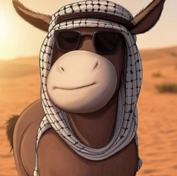 Donkey (DONKEY)