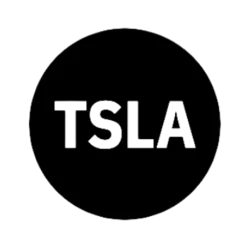 Tesla Tokenized Stock Defichain