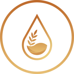 ENKI Protocol