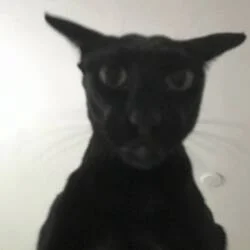 Evil Larry (LARRY)