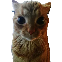Gakster
