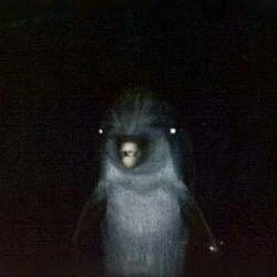 Gerald The Dolphin