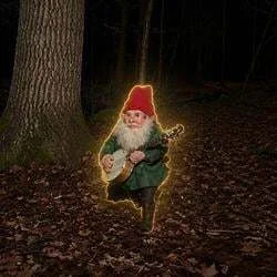 Gnomes