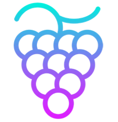 Grape Protocol
