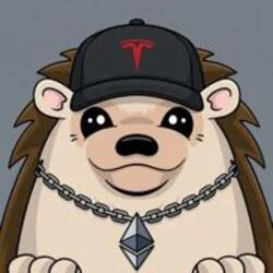 Haha Yes Hedgehog