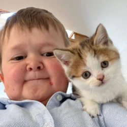 Hasbulla’s Cat