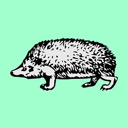 Hedgehood