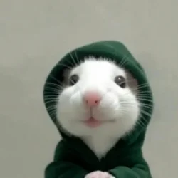 hoodrat