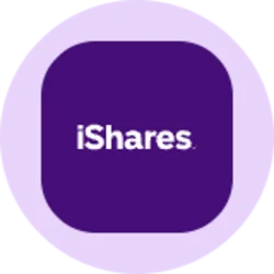 iShares China Large-Cap ETF (Ondo Tokenized)