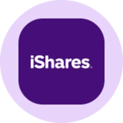 iShares MSCI EAFE ETF (Ondo Tokenized ETF) (EFAON)