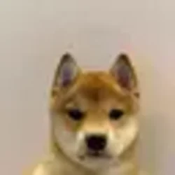 It’s just a Dog
