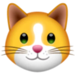 KittenFinance (KIF)