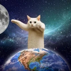 Longcat