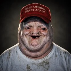 Magatard