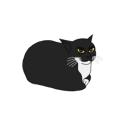 Maxwell the spinning cat