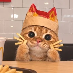 McCat