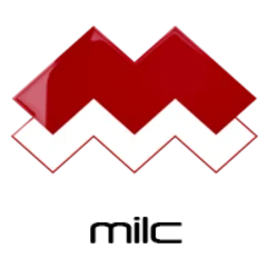 Media Licensing Token (MLT)